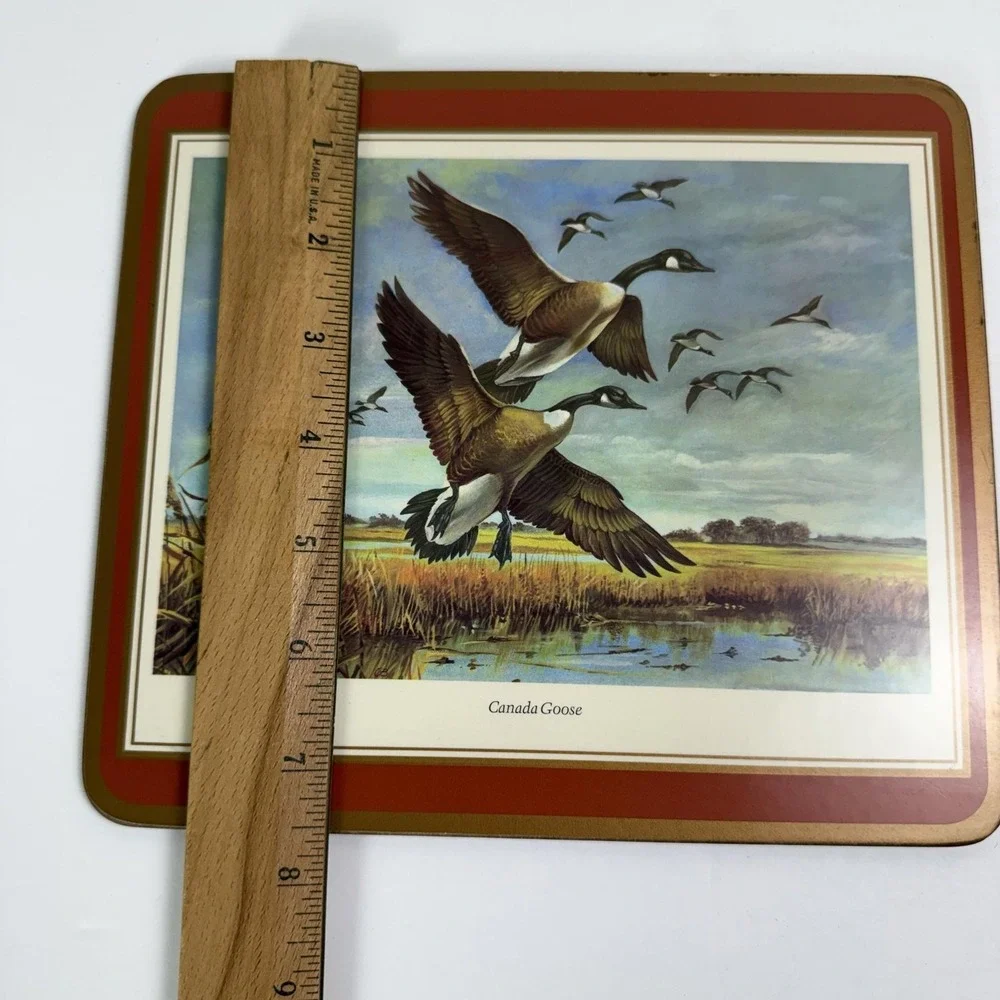 Game Bird Cork Placemats Set Of 4 Plastic Canada Goose Pheasant Grouse Snipe